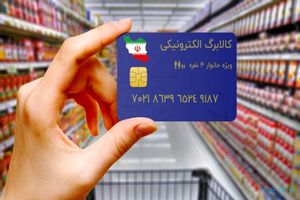 نحوه خرید از فروشگاه های اینترنتی با «کالابرگ»