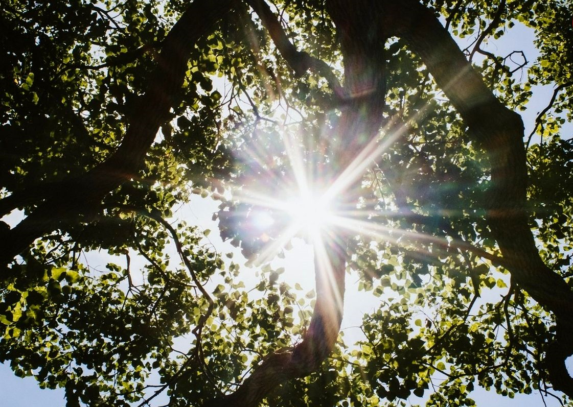 خواب نابیناها چه رنگی است؟ 30 1697359449 28 خواب نابیناها چه رنگی است؟