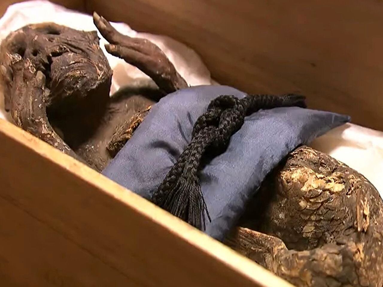 1698317209 792 نگاه به مومیایی ترسناک پری دریایی از دریچه‌ای متفاوت