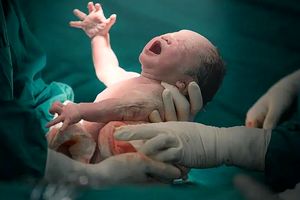 بزرگترین اختراع در تاریخ بشریت/ چگونه بدن زنان ۲۰۰ میلیون سال تکامل بشر را هدایت کرد؟