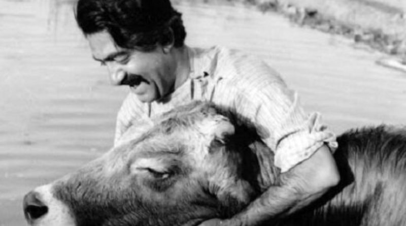 «گاو» با چند هزار تومان ساخته شد؟ 2 «گاو» با چند هزار تومان ساخته شد؟