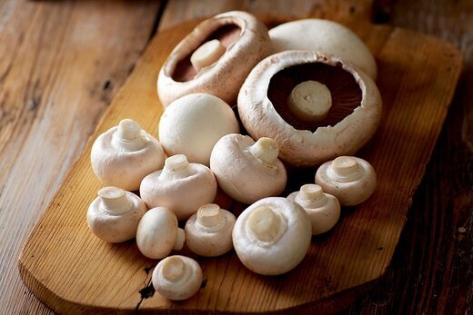 ۵ ماده غذایی سودمند برای داشتن خواب بهتر 15 اگر خواب راحتی ندارید، این مواد غذایی را بخورید/ ۵ ماده غذایی مفید برای داشتن خواب بهتر