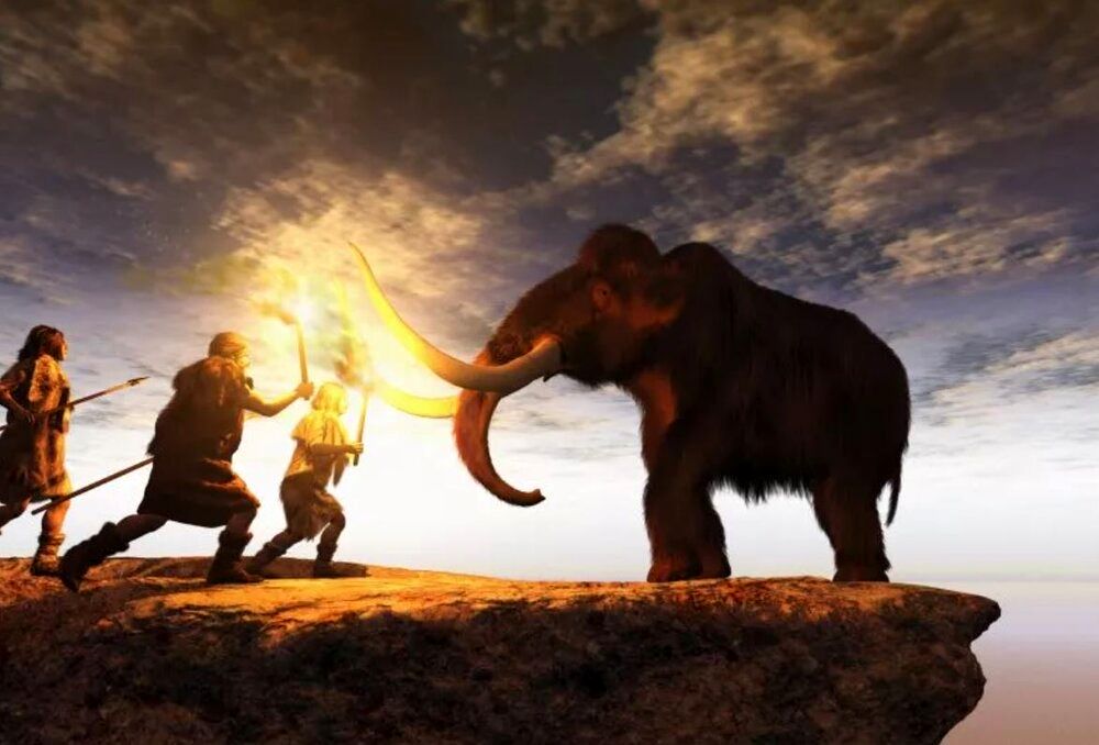 برگشت به زندگی حیوان منقرض شده با مهندسی ژنتیک 4 بازگشت موجود غولپیکر باستانی با علم ژنتیک/ عکس