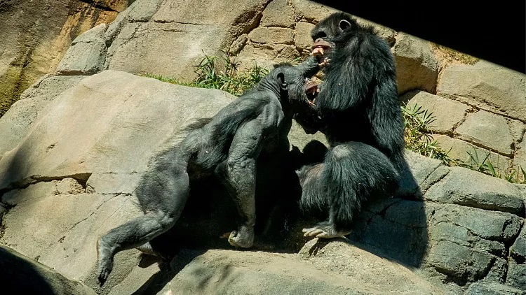 750x422_cmsv2_b4a09d6a-c81d-587d-b9d2-ae53f373d54e-8035148