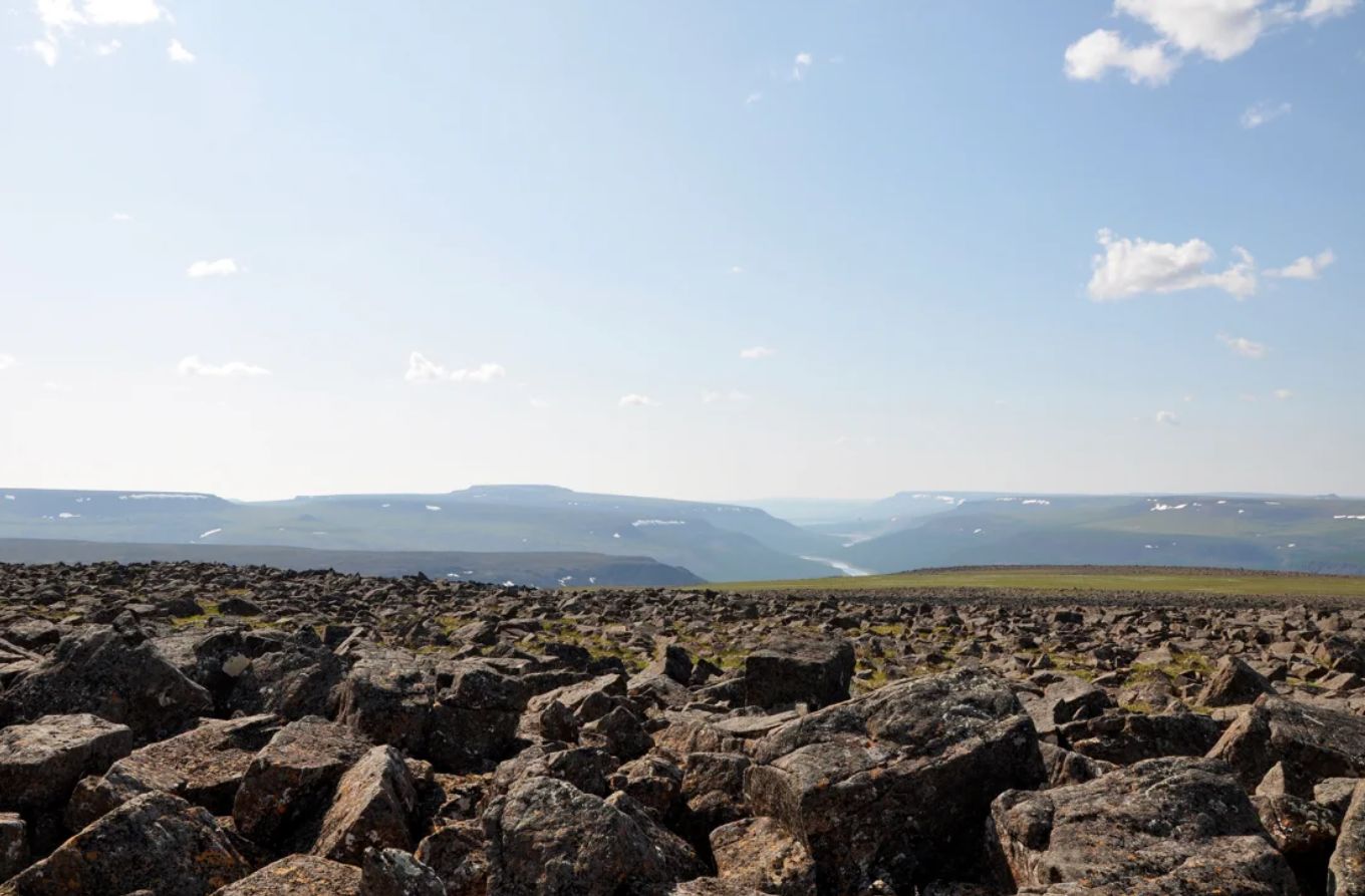 انقراض دسته جمعی چیست و چرا دانشمندان فکر می کنند ما در میانه یک انقراض قرار داریم؟ (مطالب سی ان ان معمولا زود میسوزن زیرنویس عکس ها در متن گنجانده و ذکر شده اند)