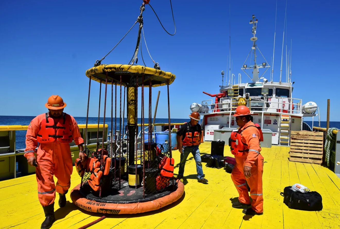 انقراض دسته جمعی چیست و چرا دانشمندان فکر می کنند ما در میانه یک انقراض قرار داریم؟ (مطالب سی ان ان معمولا زود میسوزن زیرنویس عکس ها در متن گنجانده و ذکر شده اند)
