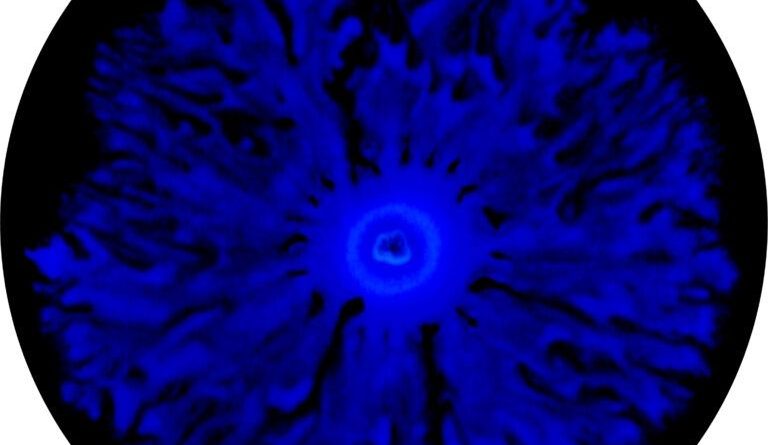 ازدحام باکتری‌ها روی یک صفحه آزمایشگاهی