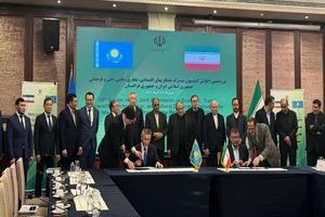 واردات گوشت منجمد از قزاقستان به ایران