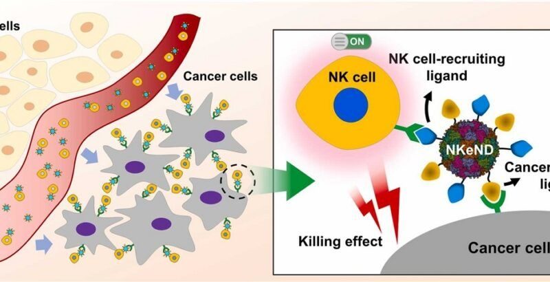 پهپادها اینبار برای کشتار سلول‌هاس سرطانی می‌آیند!