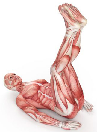 ورزش های چربی سوز مخصوص افراد مبتدی 15 kranch2-fat-burning.jpg