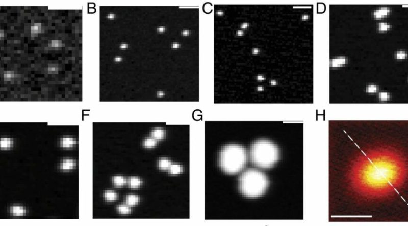 نانوپلاستیک در آب بطری