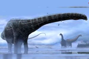 دایناسورها مانع طولانی‌تر شدن عمر انسان شدند؟!