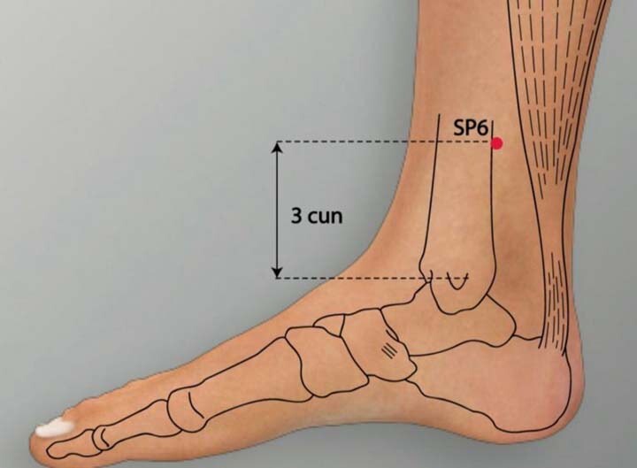 طب فشاری چیست و چه اثری بر افت وزن دارد؟ 2 از طب فشاری تا کاهش وزن