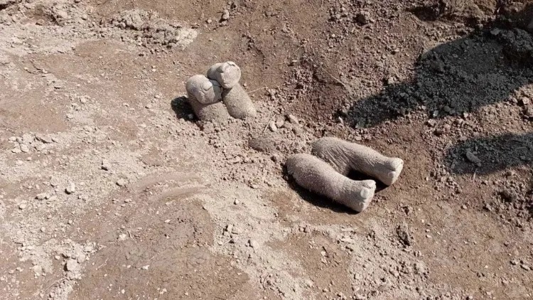 elephant-calf-buried-upside-down-2-65e9d2bcb5484d0cca6f92d8
