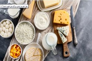 چرا چربی لبنی برای بدن خوب است؟