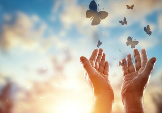 چرا بعضی اوقات نمی توان بخشید و فراموش کرد؟_طلوع شرق 16 چرا گاهی نمی توان فراموش کرد و بخشید؟