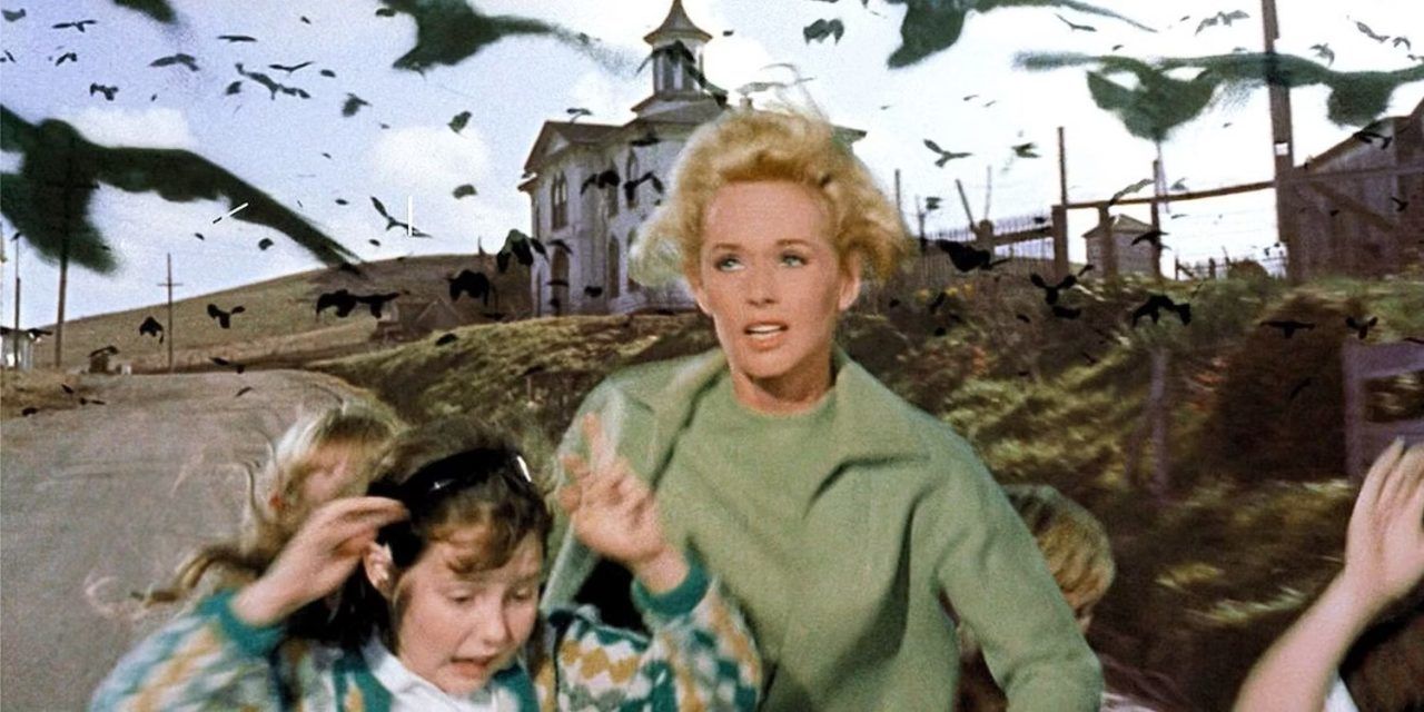 فیلم the birds