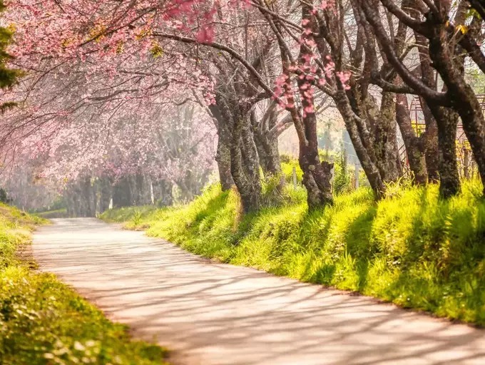 با 6 تکنیک کهن ژاپنی زندگی و روابط تان را منقلب کنید_طلوع شرق 13 ناپایداری طبیعت و زندگی