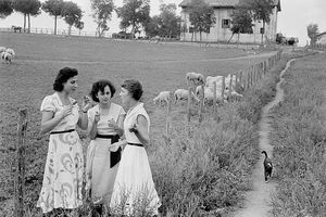 گفت و گو لذت بی پایان است