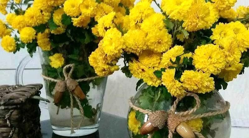 این ۷ گیاه آپارتمانی، هوای خانه را تمیز می‌کنند