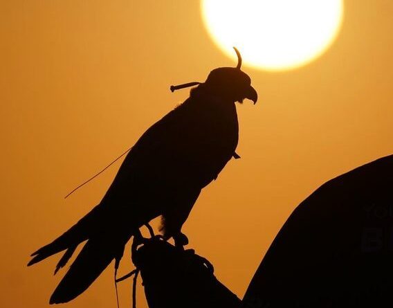 تیپ عربی دل پیرو و خانواده‌اش در صحرای دبی/ تصاویر