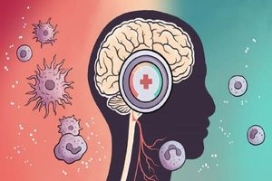 کشف ابر مدار مغزی که التهاب را مدیریت می‌کند