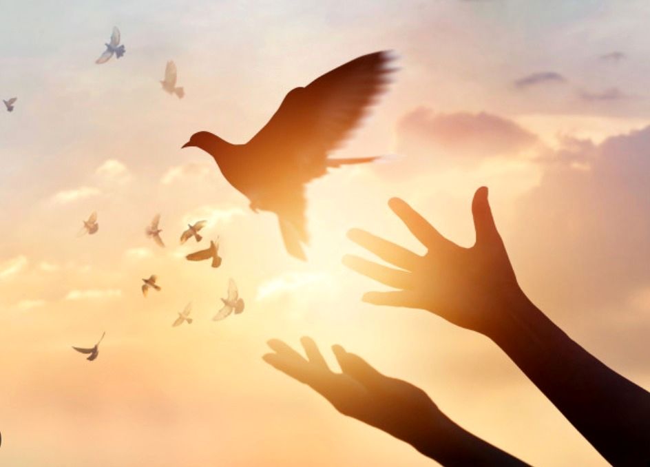 چرا فکر می کنید همه چیز تحت کنترل شما است؟_طلوع شرق 9 چرا فکر می کنید همه چیز تحت کنترل شماست؟ جور دیگر باید دید!