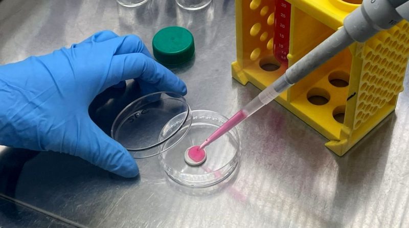 این ژله صورتی می‌تواند صنعت گوشت را متحول کند