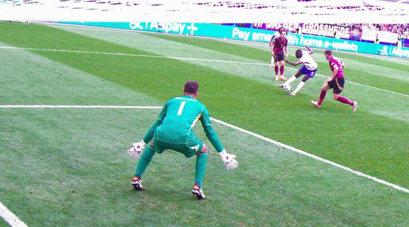 خروس ها کابوس شیطان سرخ شدند!