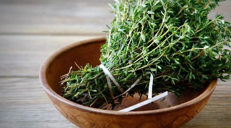 درمان-شوره-سر-با-آویشن