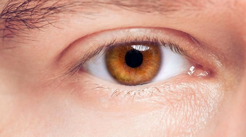 رنگ چشم قهوه‌ای رایج‌ترین رنگ چشم در جهان است