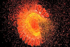 کشف اثربخشی ۱۰۰ درصدی یک دارو در پیشگیری از اچ‌آی‌وی