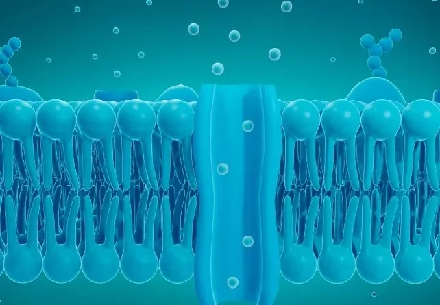 دستاوردی در علم اعصاب؛ محققان توانستند ذهن موش‌ها را از راه دور کنترل کنند