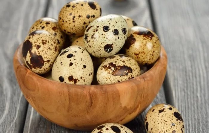 تخم-بلدرچین