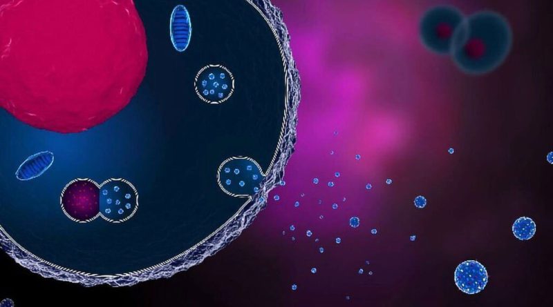 اگزوزوم‌ها