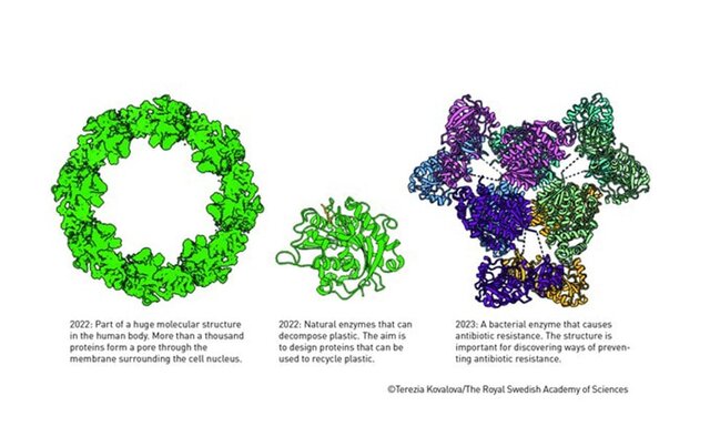 برندگان نوبل شیمی ۲۰۲۴ معارفه شدند_طلوع شرق 6 2