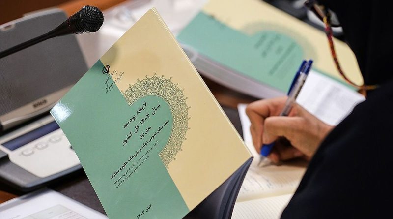 پشت و روی بودجه ۱۴۰۴؛ از حقوق کارمندان و بازنشستگان تا وام ازدواج/ ویدئو