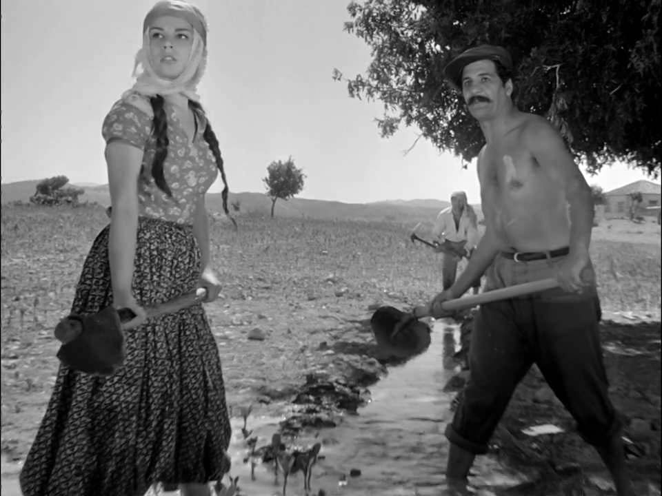 10 فیلم ترکی که به شدت غافلگیرتان می کنند_طلوع شرق 10 70