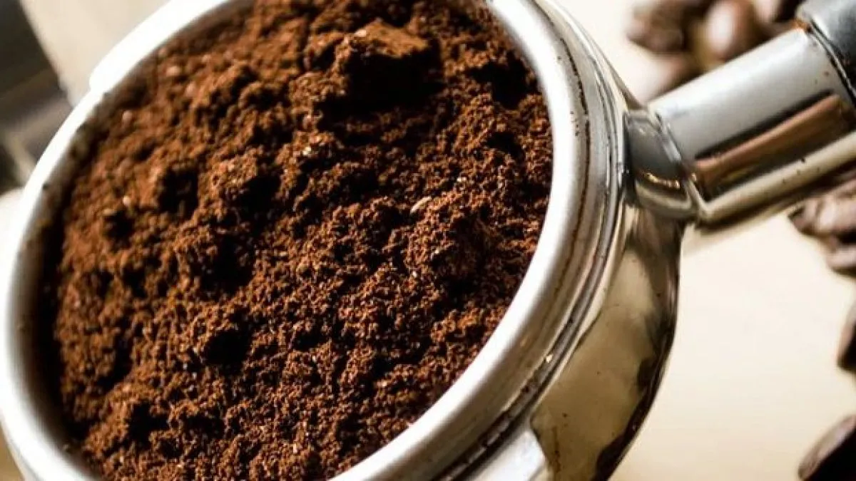 مزایا شگفت انگیز و متعدد تفاله قهوه_طلوع شرق 10 coffee grounds 3