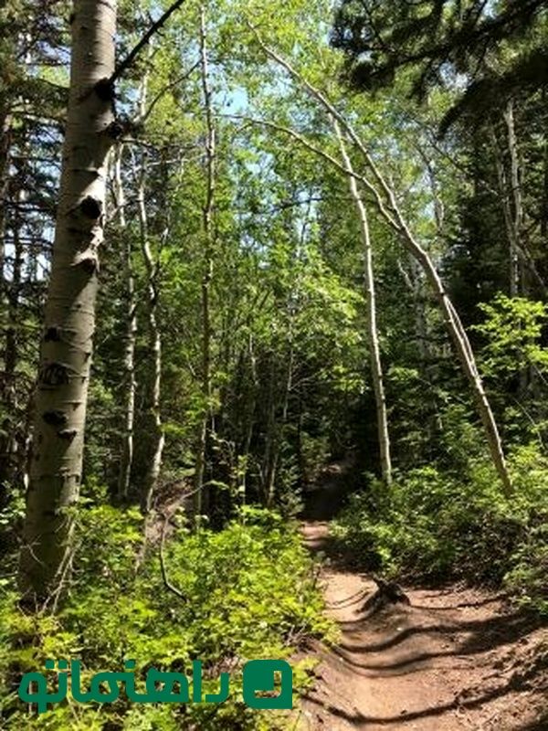 ۷ میکرو مدیتیشن برای افت استرس به روش ژاپنی ها_طلوع شرق 14 IMG_7993_1.9MB_11zon