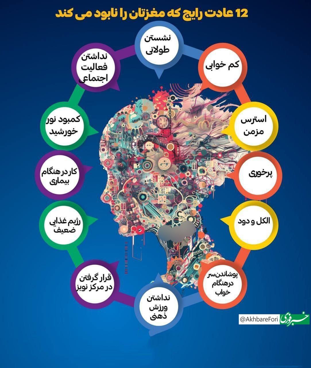 photo_2024-12-11_09-44-04