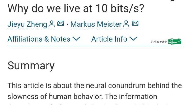 photo_2024-12-19_18-07-14