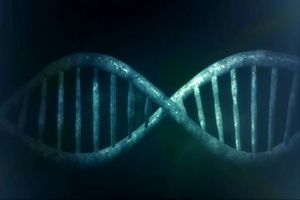 «غول را از بطری بیرون نیاورید»