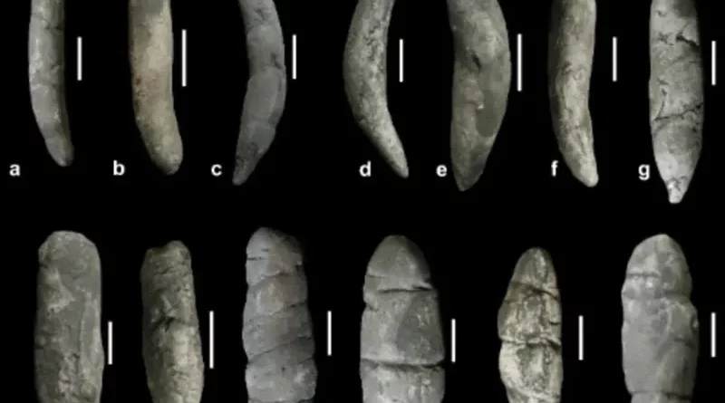 چرا دانشمندان به مطالعۀ فسیل مدفوع و استفراغ دایناسورها علاقمند شده‌اند؟