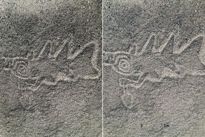 چهار کشف مهم سال ۲۰۲۴ که تنها به لطف هوش مصنوعی ممکن شدند