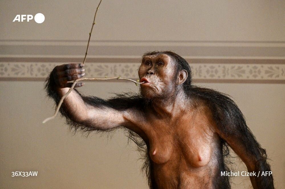 برای اولین بار تصاویر انسان ۳ میلیون ساله انتشار شد/ عکس_طلوع شرق 8 برای اولین بار تصاویر انسان ۳ میلیون ساله منتشر شد!