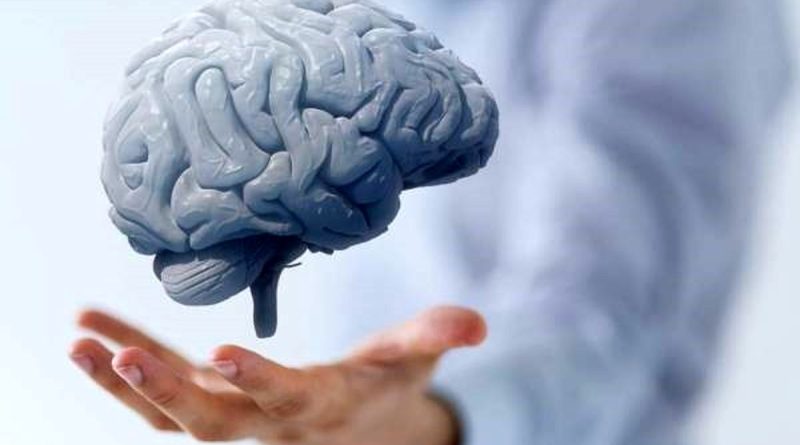 آیا مغز در لحظه مرگ، خاطرات را مرور می‌کند؟/ ویدئو

