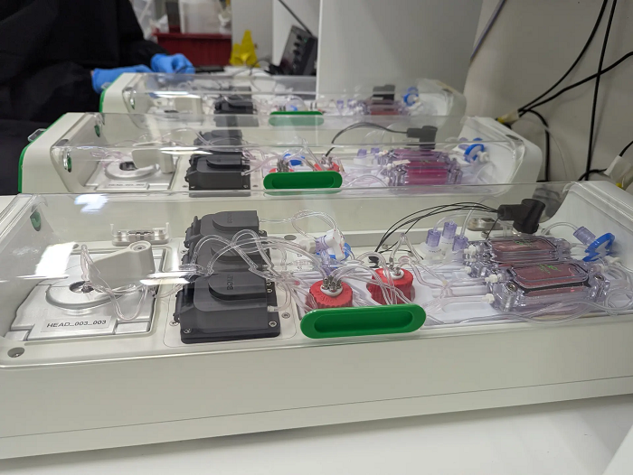 رونمایی از اولین رایانه زیستی جهان_طلوع شرق 4 63380261