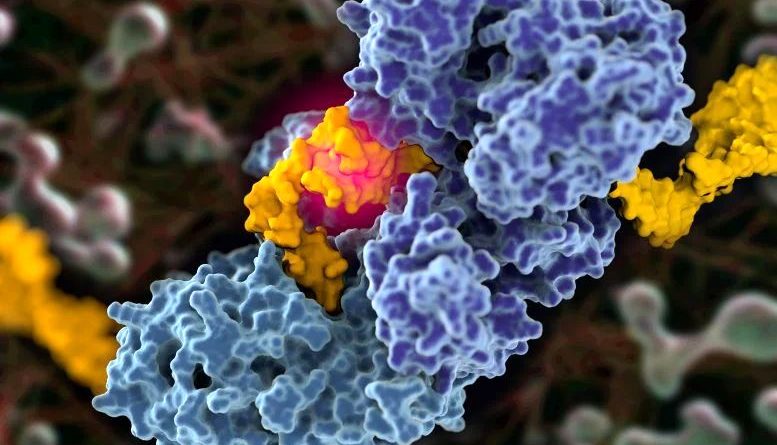 دانشمندان برای اولین بار تصاویری از استراتژی سرّی سرطان ثبت کردند