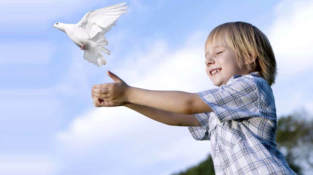 چطور کودکی اجتماعی پرورش کنیم؟ / ۷ راهکار موثر برای داشتن کودک اجتماعی_طلوع شرق 10 1743584152 367 چطور کودکی اجتماعی پرورش کنیم؟ ۷ راهکار موثر برای